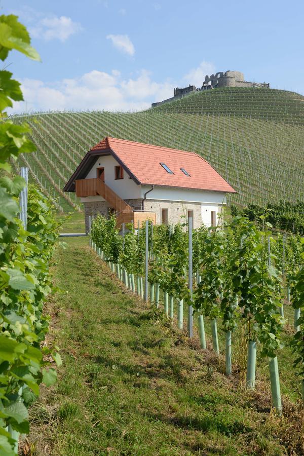 Weingut Taggenbrunn 호텔 상트베이트안데르글란 외부 사진