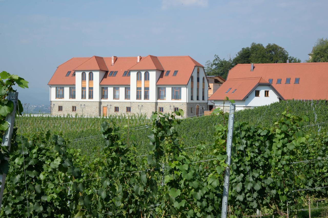 Weingut Taggenbrunn 호텔 상트베이트안데르글란 외부 사진