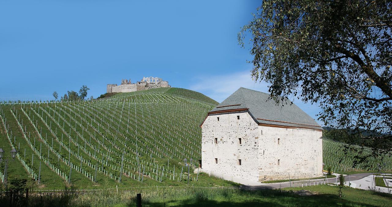 Weingut Taggenbrunn 호텔 상트베이트안데르글란 외부 사진